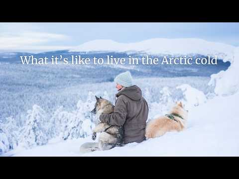 In the Cold and Quiet — Arctic Winter Moments
