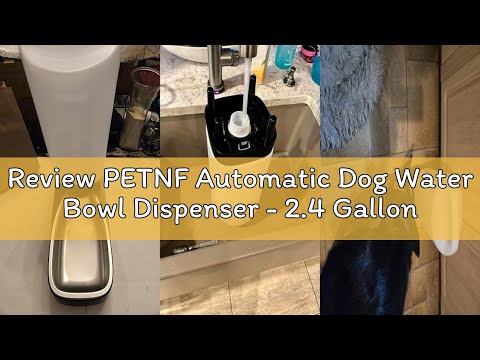 Review PETNF Automatic Dog Water Bowl Dispenser - 2.4 Gallon Stainless Steel Gravity Pet Water Feede