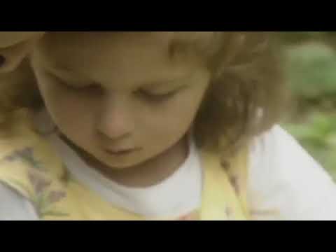 Teletubbies TV Ladybirds Date 11 August 1999