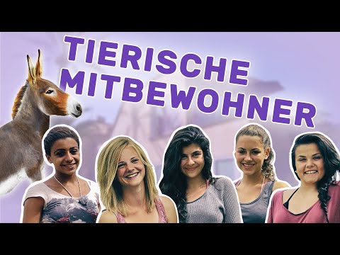 Die Mädchen-WG auf Mallorca | Folge 1