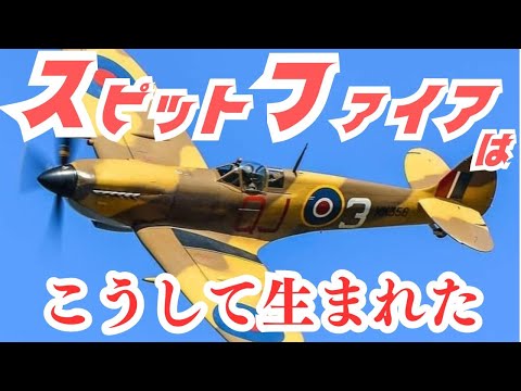 SPAD S.VIIについて詳しく解説