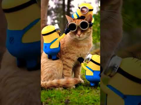 Minions Takeover (part 05)