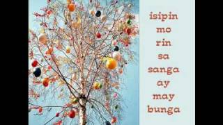 philippine violators-tayoy dahon lamang (bato)