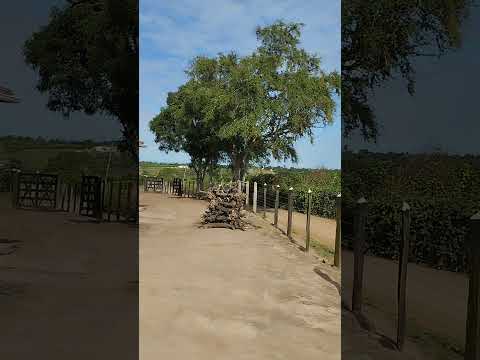 Aporá, Bahia, velhos amigos.