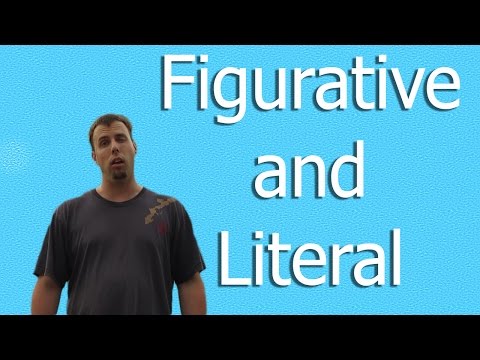 Figuratively and Literally | Like A Native Speaker