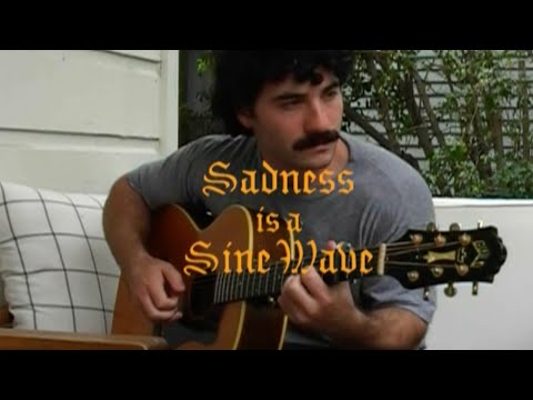 Sadness Is A Sine Wave - Theo Kandel