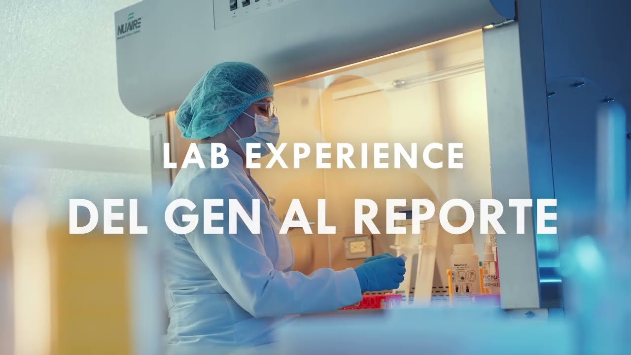 Lab Experience PRÓSTATA
