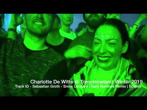 Charlotte de Witte plays Sebastian Groth - Snow Leopard (Gary Burrows Remix) @ Tomorrowland 2019