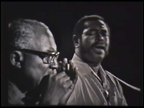 Sonny Terry and Brownie McGhee - Back Water Blues