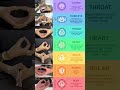 All 7 Chakras Healing Meditation Music | Guided Chakra Meditation for Deep Healing & Balance
