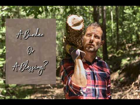 A Burden or a Blessing?