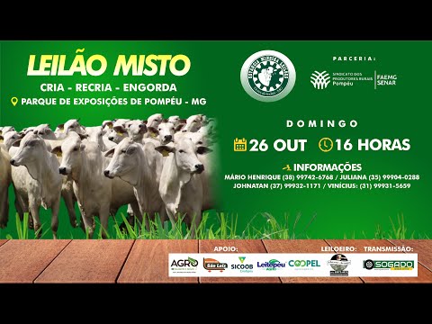 LEILÃO MISTO - ESTÂNCIA MINEIRA LEILÕES E SINDICATO DE POMPÉU/MG - 26/10/2025