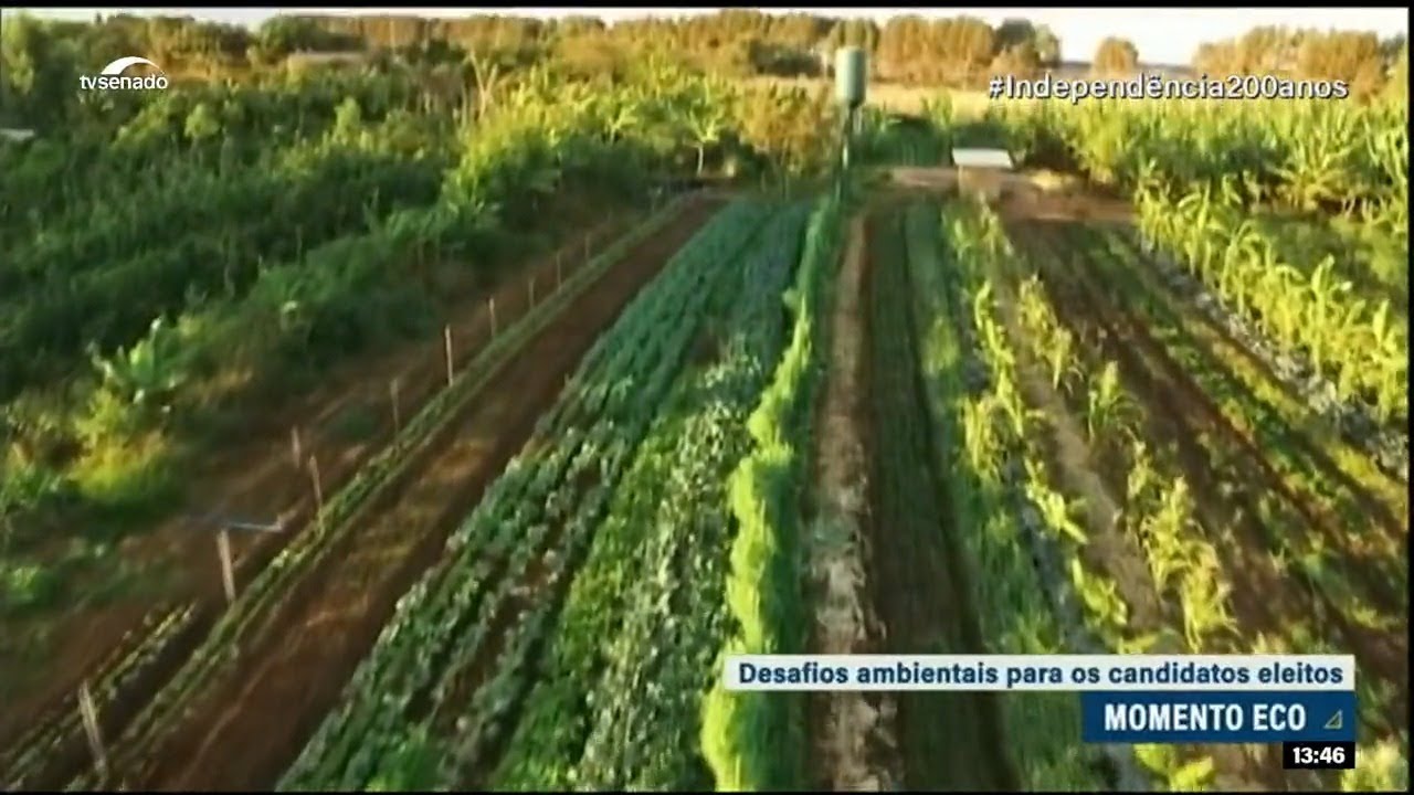 Agricultura Regenerativa: Coluna Momento Eco destaca desafios ambientais para eleitos em 2022
