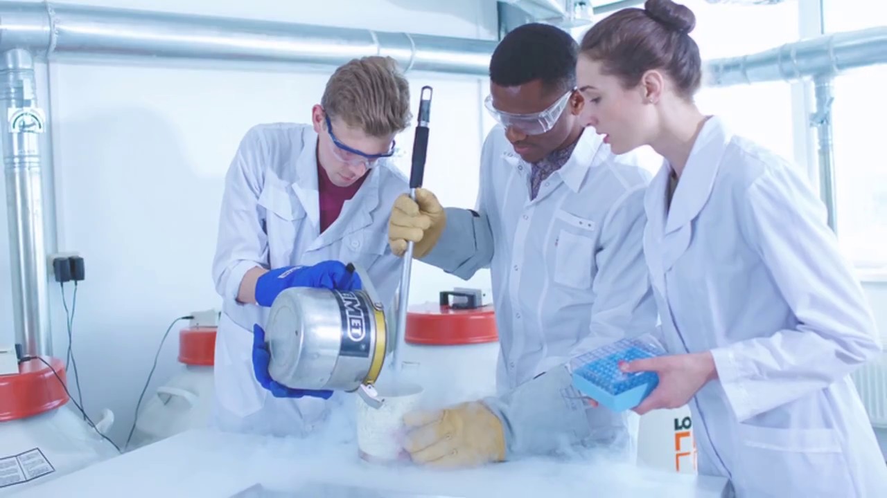 Nhận diện thương hiệu mới - 2017