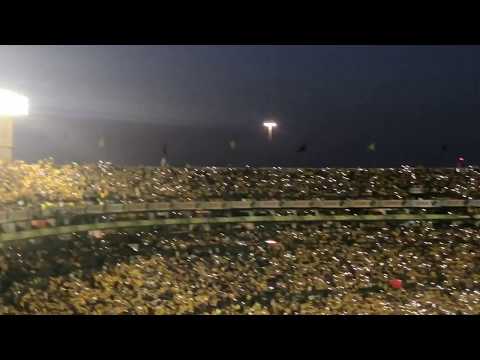 "AMBIENTAZO EN EL VOLCAN: Cánticos y porras en la final Tigres vs Chivas [CL 17]" Barra: Libres y Lokos • Club: Tigres