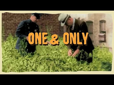 L'ENTOURLOOP - One & Only Ft. Charlie P (Official Video)