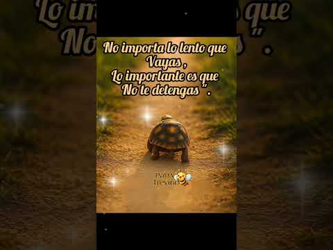 no te detengas #reflexion #notedetengas