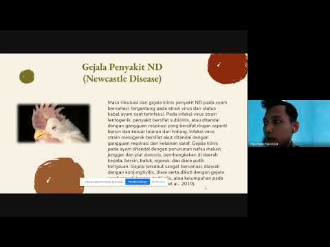 , title : 'Penyakit Newcastle Disease (ND) Pada Ayam yang Di Sebabkan Oleh Virus Avian Paramyxovirus type-1 kl2'