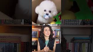 PODE DAR CHUPETA PARA O CACHORRO?