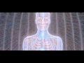 Shpongle - Divine Moments of Truth Video HD ...