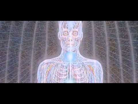 Shpongle - Divine Moments of Truth Video HD ♫