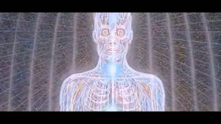 Shpongle - Divine Moments of Truth Video HD ♫