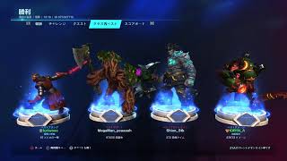 パラディンズ[Paladins]　YouTube不調定期
