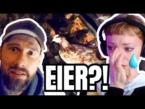 🥚⛔ REAKTION auf  @MissionErde : Vorzeigebetrieb UNDERCOVER infiltriert ⛔🥚