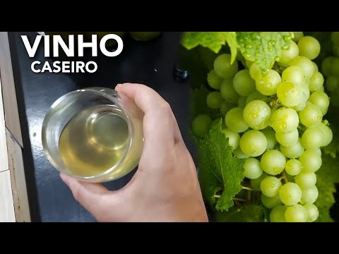 The entire process of making homemade artisanal wine 🍷