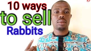 How to sell your Rabbits in Nigeria