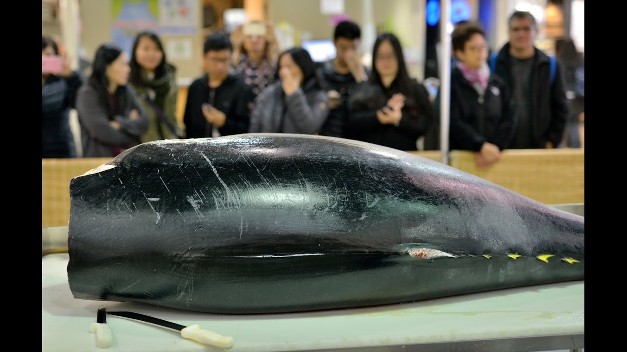 Top View $10,000 Sharpest Knife Cuts Bluefin Tuna like Butter