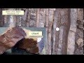 Identifying Sedimentary Rocks Earth Rocks