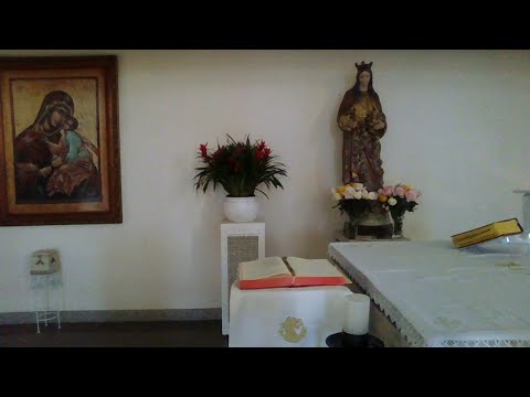 Solenidade da Santíssima Trindade Do Tempo Comum ao vivo às 16h no dia 06/06/2020