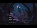 The Lion King Platinum Edition Disc 1 2003 DVD Menu Walkthrough