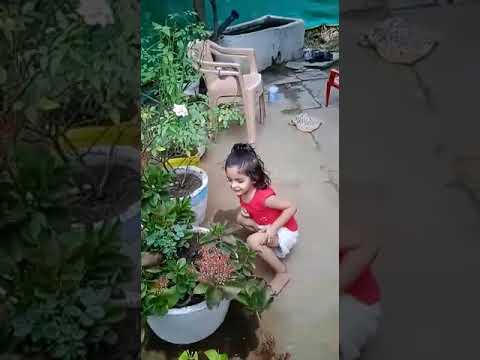 lovely garden dcorating by vedanshi dangi#status#share#babygirl#creative
