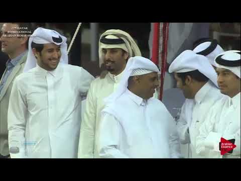 27th Qatar International Arabian Horse Show 2018 - Mares Ch.