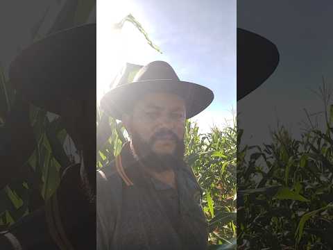 Chapada do araripe e só fartura ipubi pe