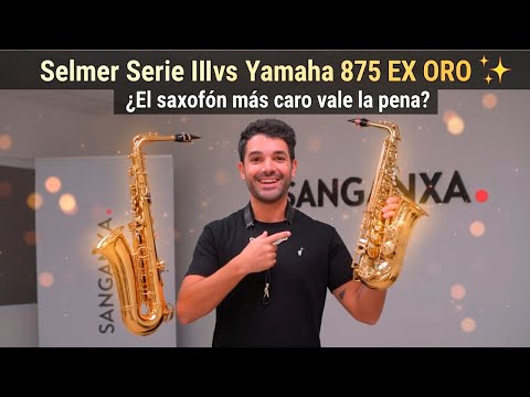 Manu Brazo - Saxophonist and SANGANXA