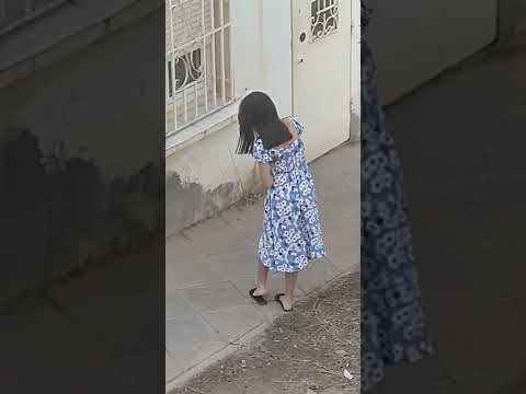 لبلاد راحت باي باي