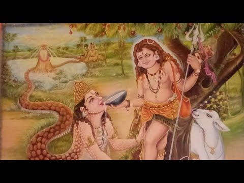 Jai Baba Surgal Dev Ji And Jai Baba Sidh Goriya Ji karka and bajan|| made by rdx_harsh