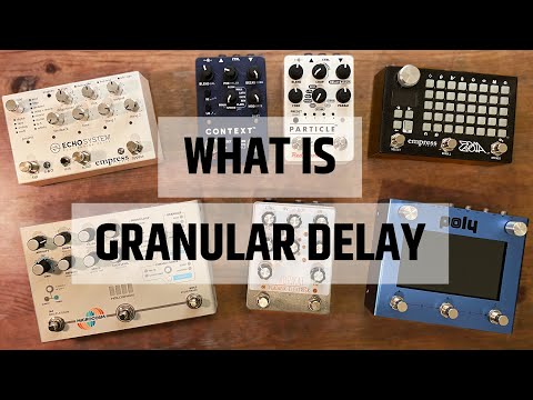 What is GRANULAR DELAY? (w/ Particle, Microcosm, Fabrikat, ZOIA, Beebo/Digit, Echosystem, Context)