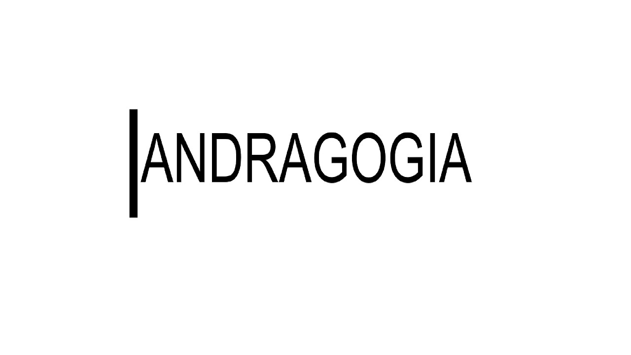 Andragogia - Conceitos Básicos e dicas praticas de como aplicar!