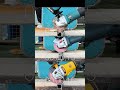 DeWALT VS Makita VS BOSCH Automobile Automotivetools Tools Tools4life Powertools Bosch