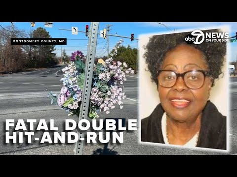 Family of hit-and-run victim pleads for answers as police hunt for driver