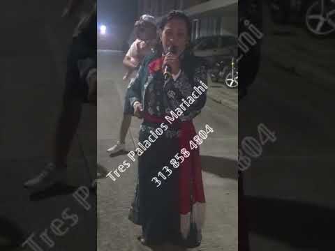 mariachis cucuta- mariachis de cucuta colombia norte de Santander