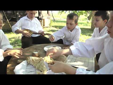 ŠOKAČKA POSLA - NIKOM NE DAM ŠOKADIJU STARU