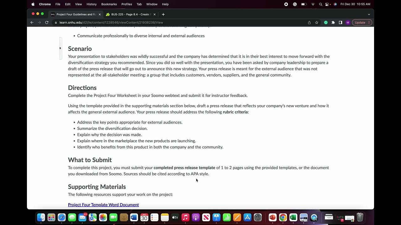 BUS 225 - Project Four Lecture