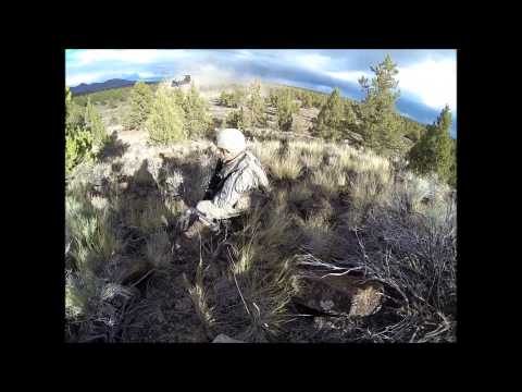 B 2-162 BIAK Chinook