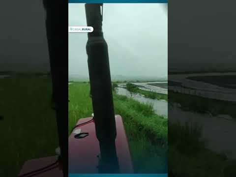 Chuvarada no RS deixou prejuízos em diversos locais