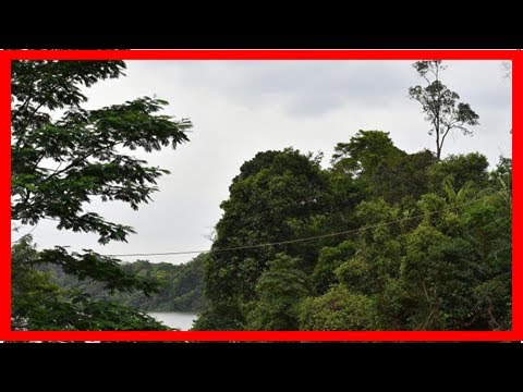 The humble rope - a tool in wildlife conservation